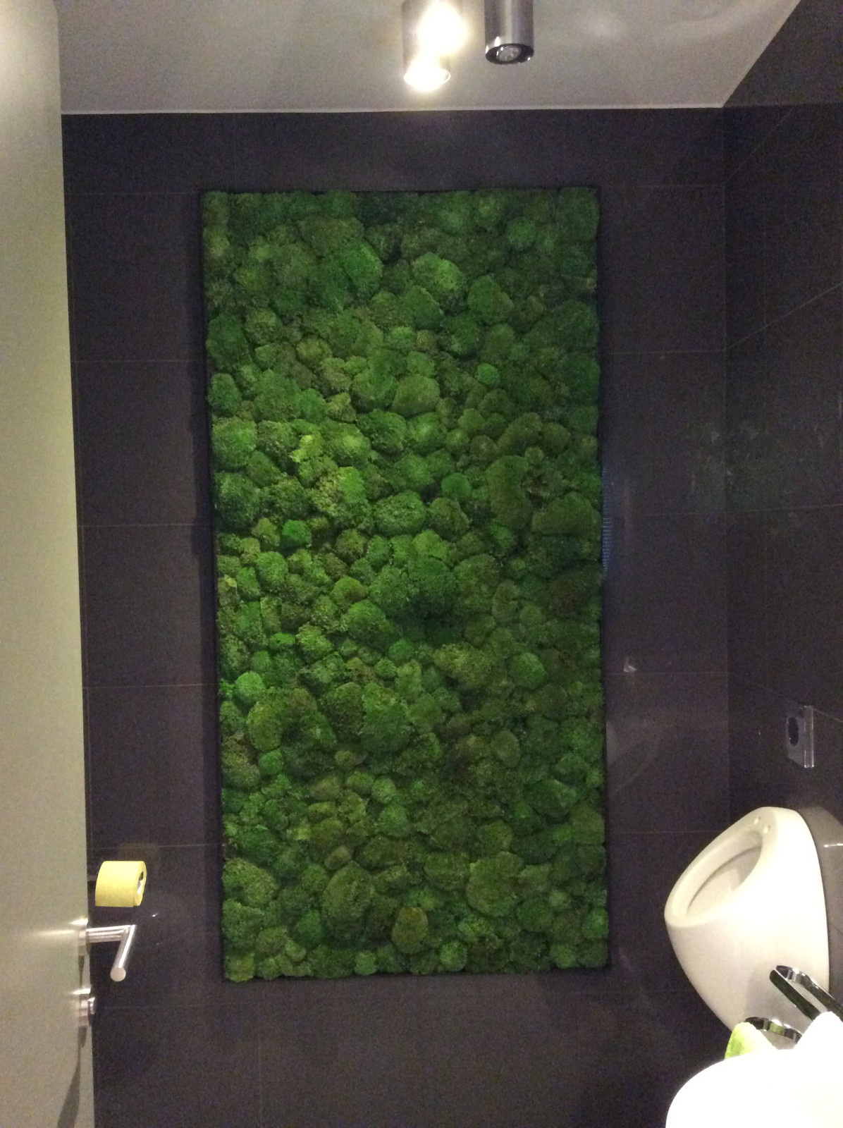 Мох Кочка в сан узле