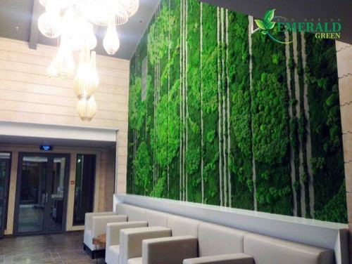 Мох в интерьере