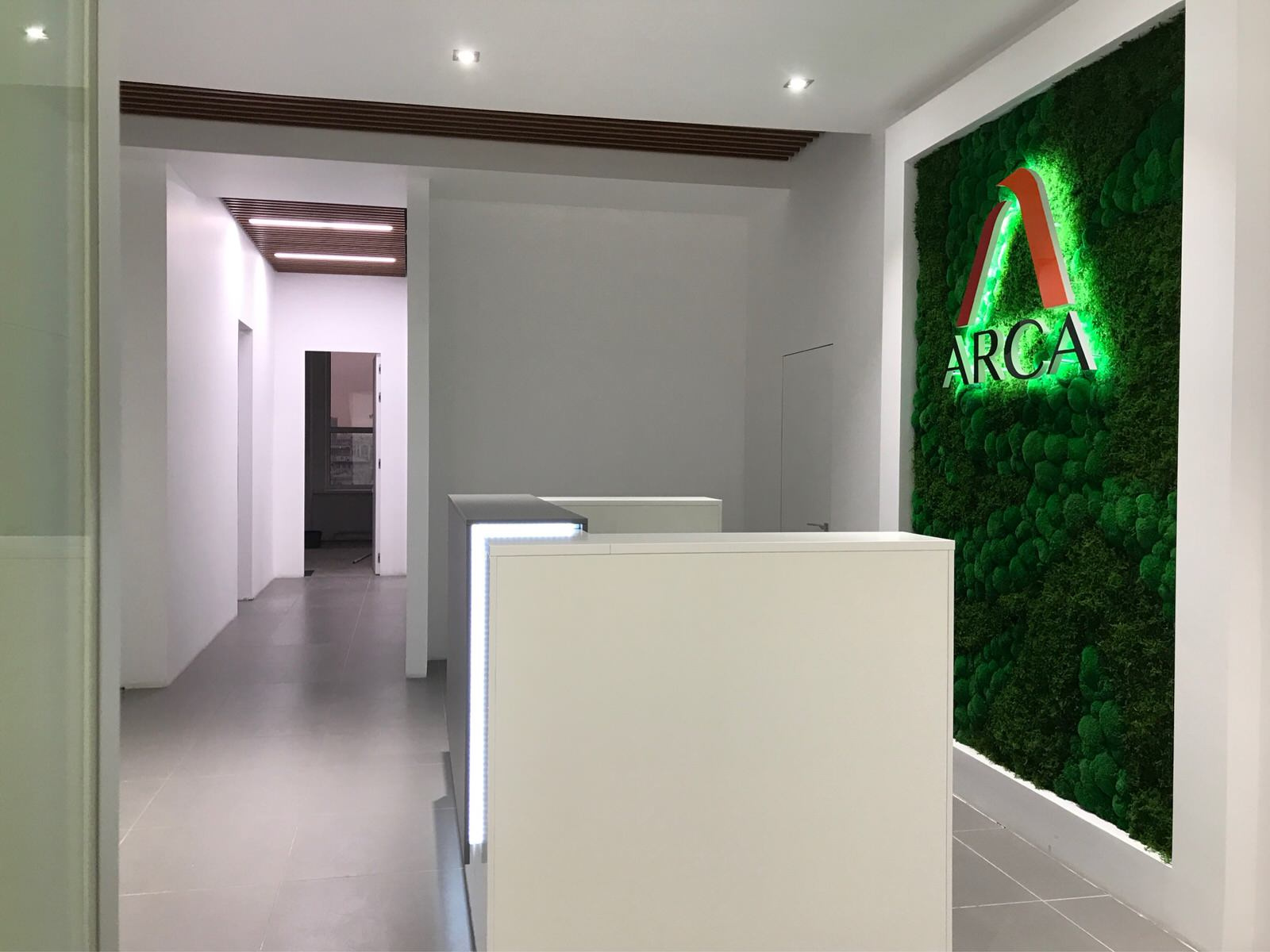 Микс мхов с логотипом