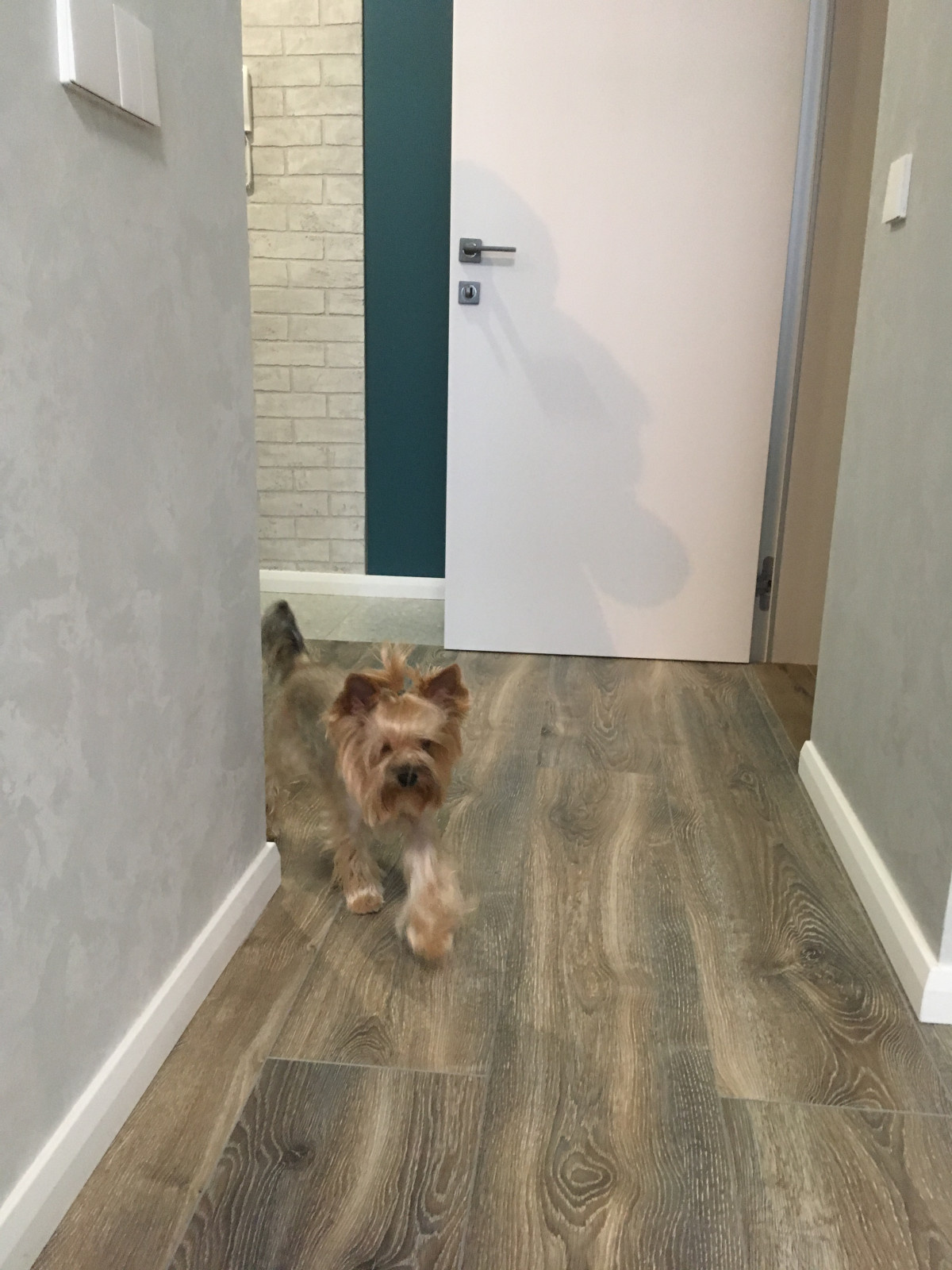 Квартира молодой пары