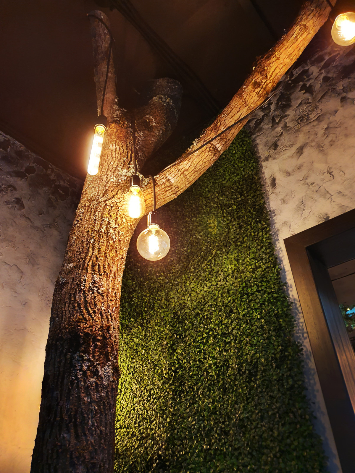 кафе Тобико to2ko в Геленджике