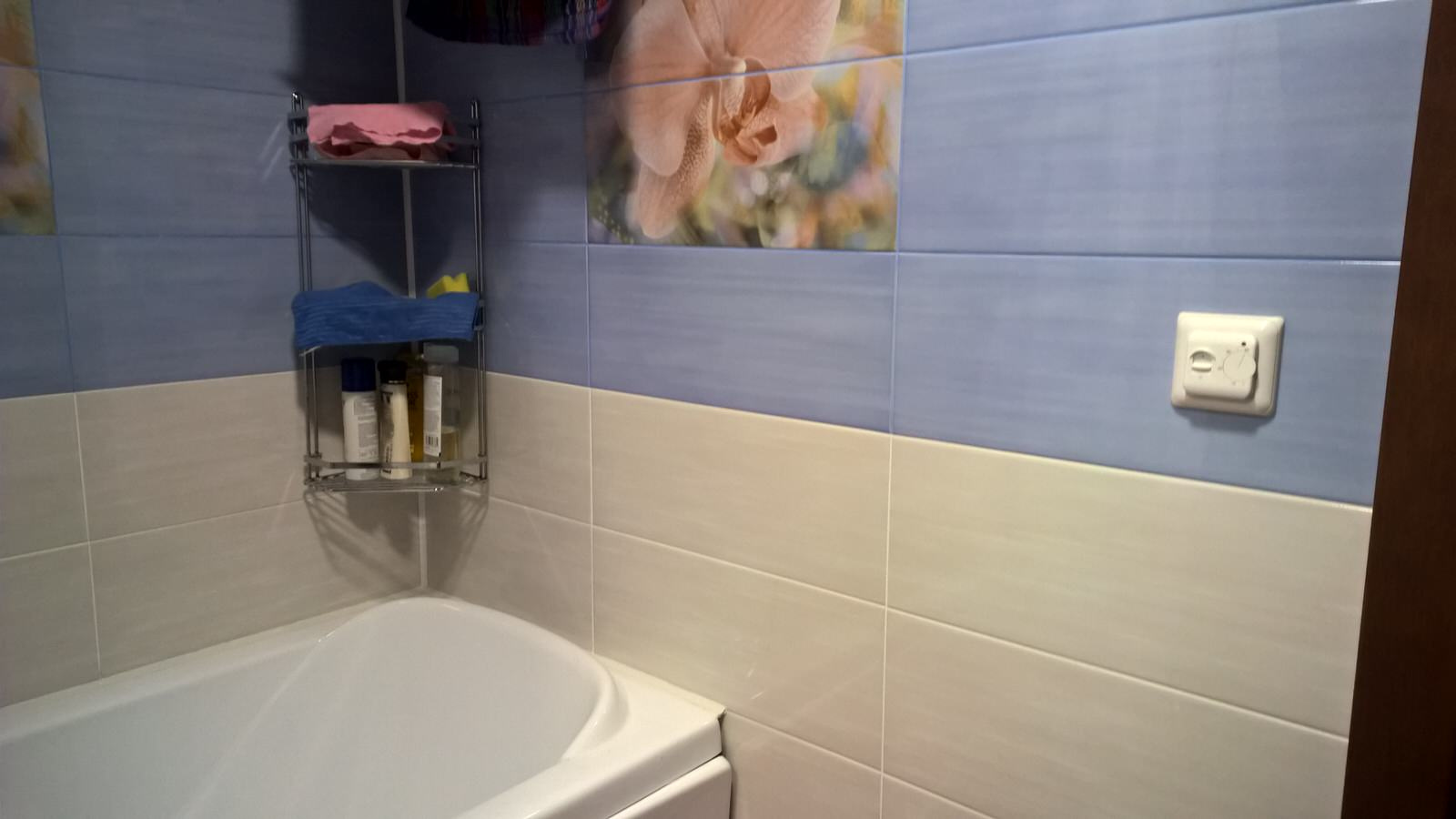 Квартира для двух музыкантов