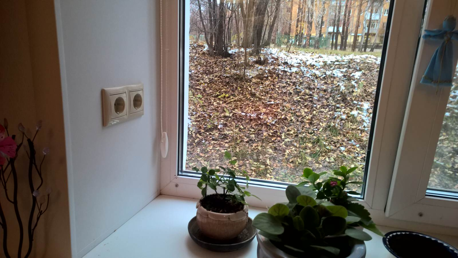 Обложка проекта: Квартира для двух музыкантов