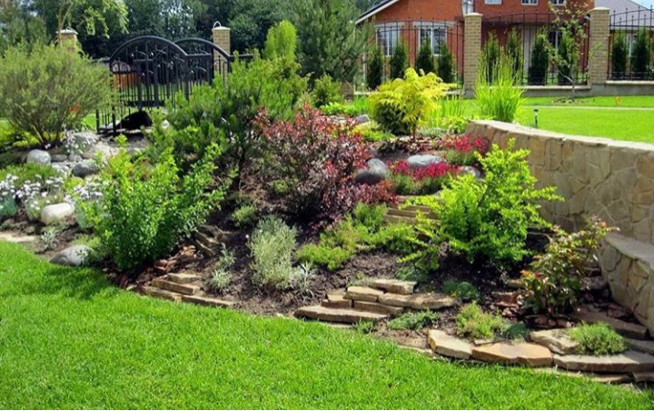 Озеленение дачного участка