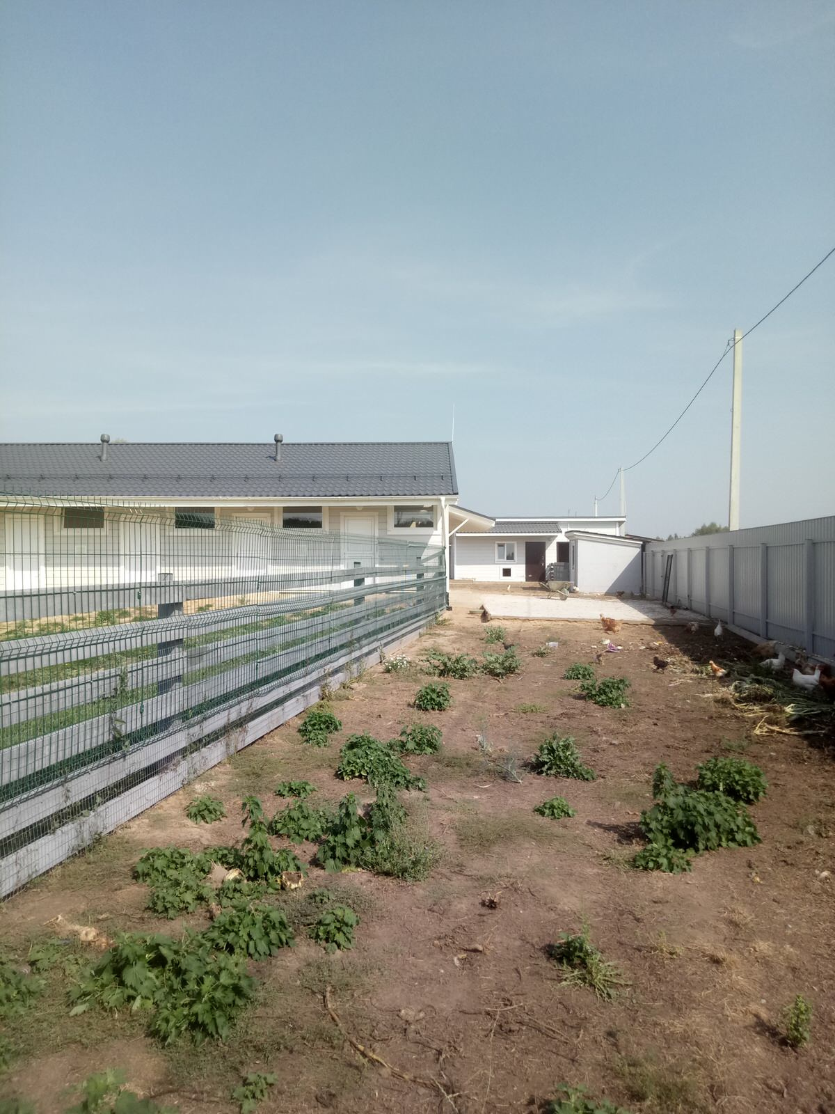 Сыроварня в Калужской области