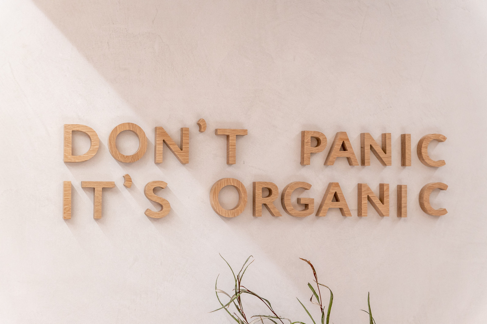 Тропическая кухня под цветком протеи