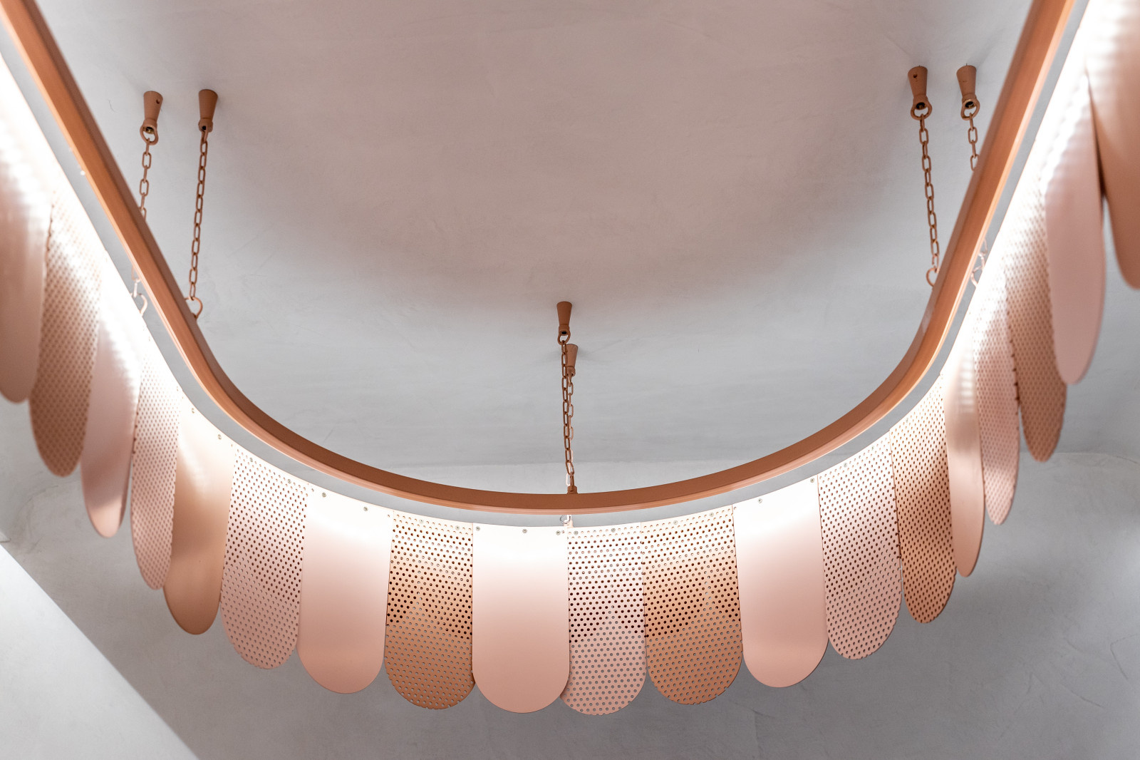 Тропическая кухня под цветком протеи