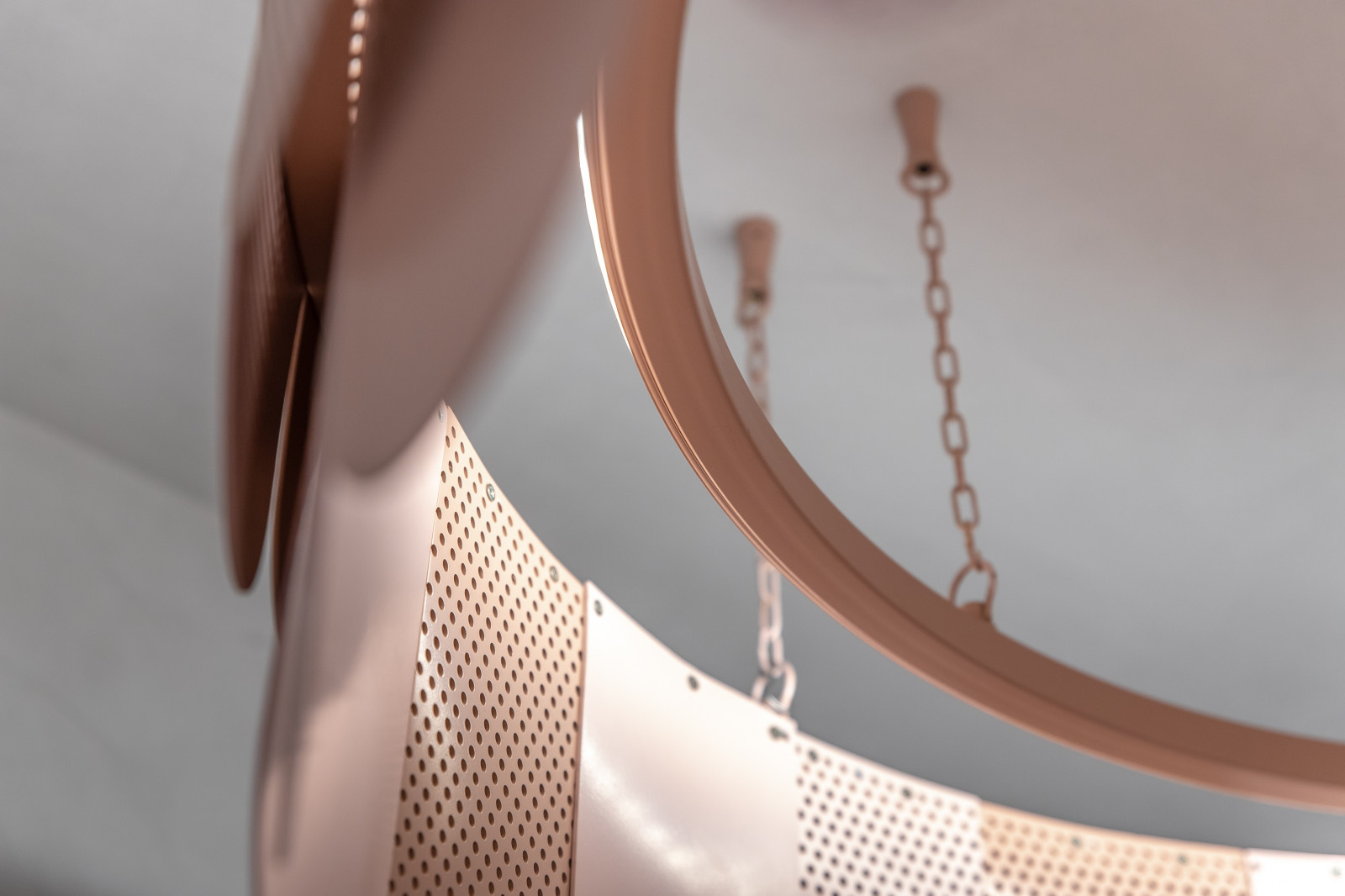 Тропическая кухня под цветком протеи