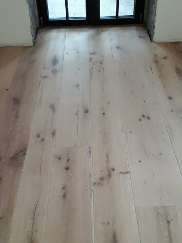 Вековой дуб