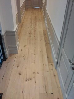 Вековой дуб