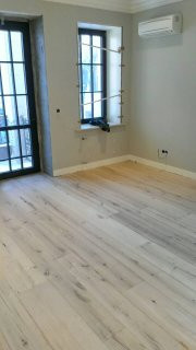 Обложка проекта: Вековой дуб