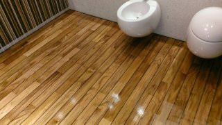 Обложка проекта: Паркет в санузле