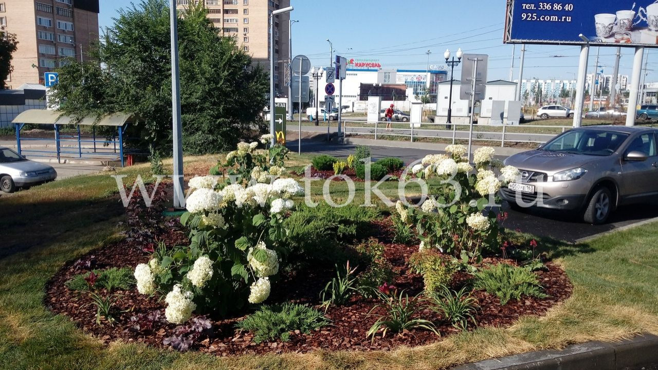 Озеленение ресторана Макдоналдс