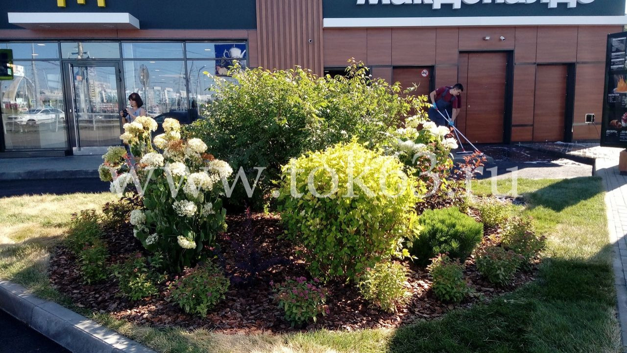 Озеленение ресторана Макдоналдс