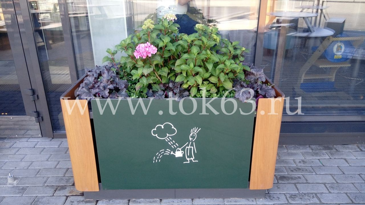 Озеленение ресторана Макдоналдс