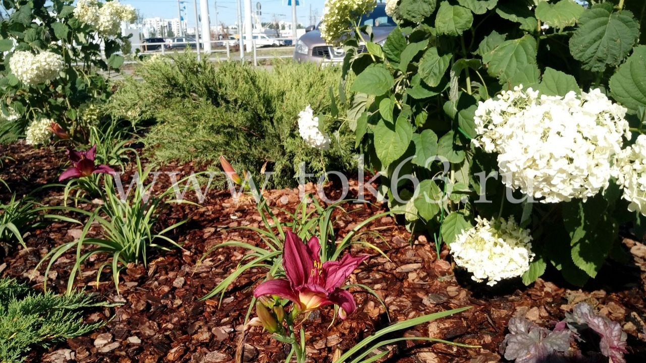 Озеленение ресторана Макдоналдс