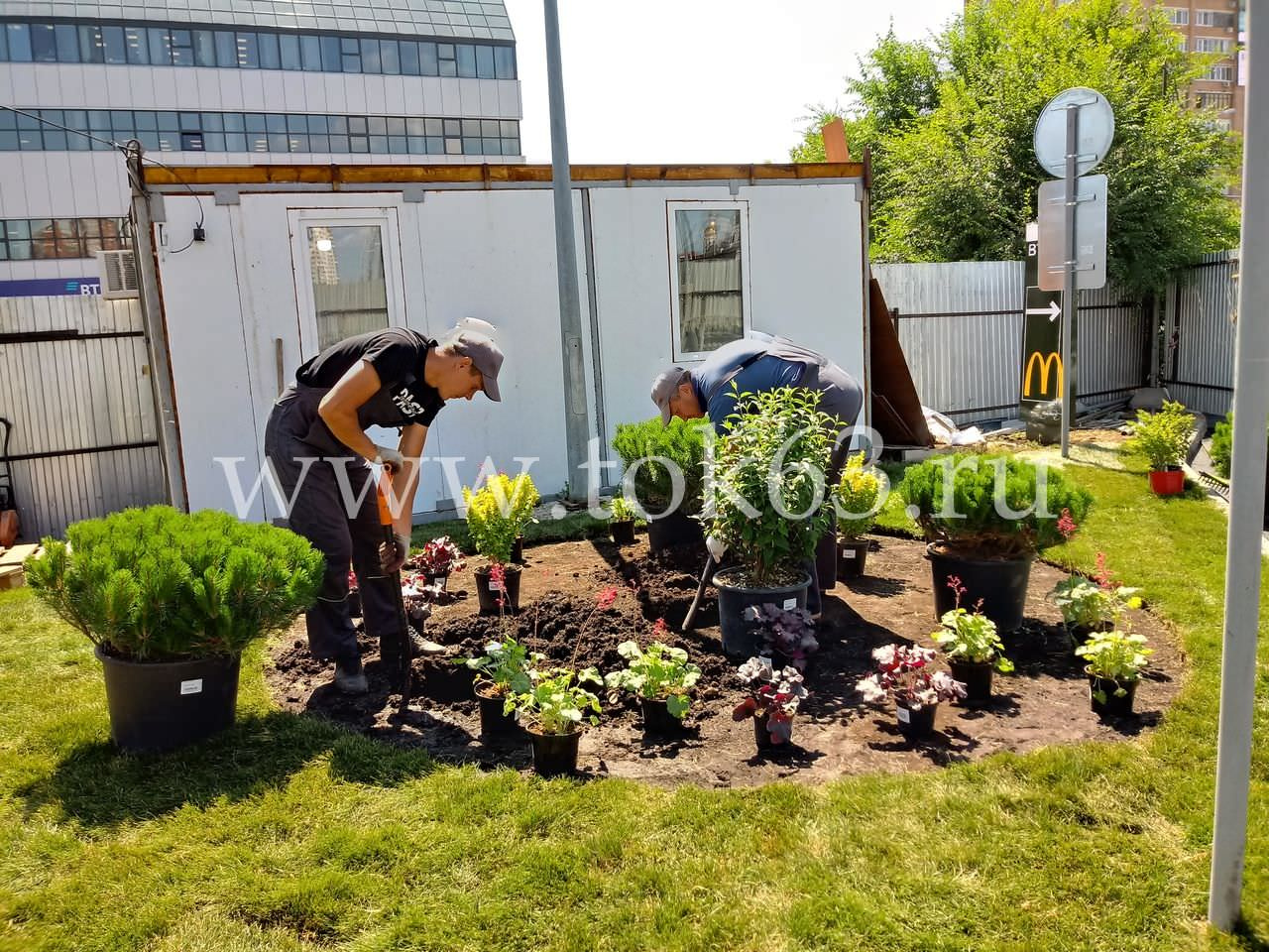 Озеленение ресторана Макдоналдс