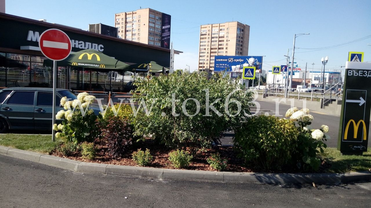 Озеленение ресторана Макдоналдс