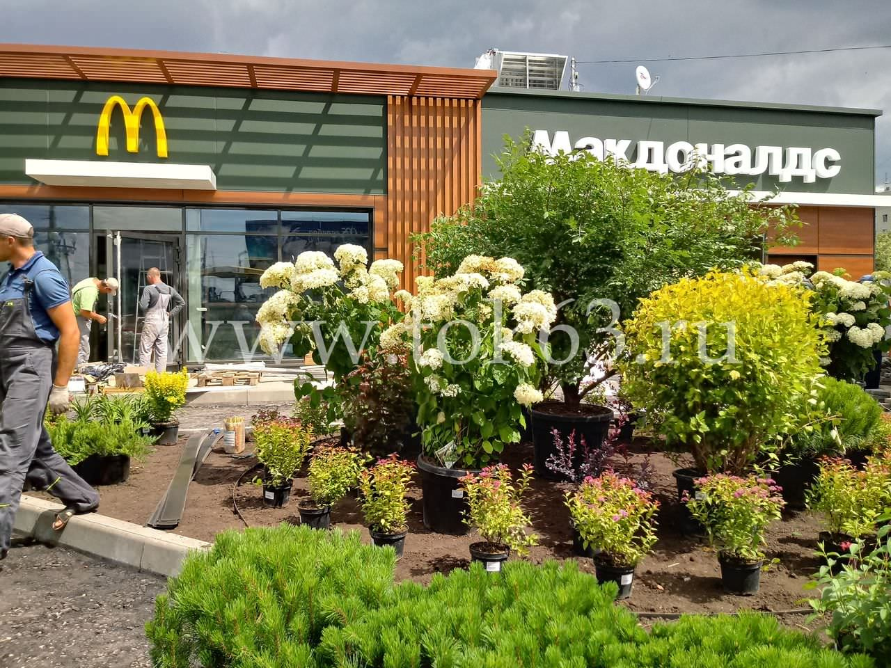 Озеленение ресторана Макдоналдс