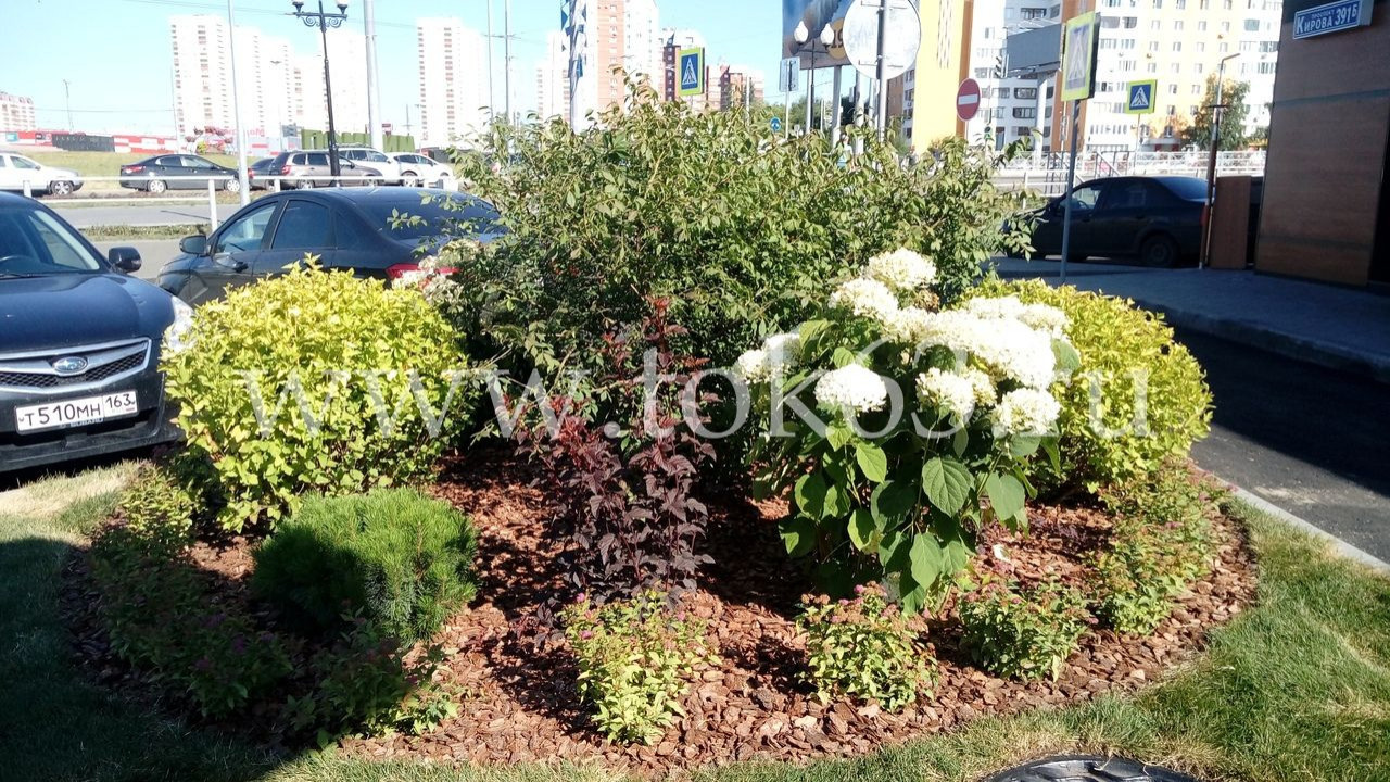 Обложка проекта: Озеленение ресторана Макдоналдс