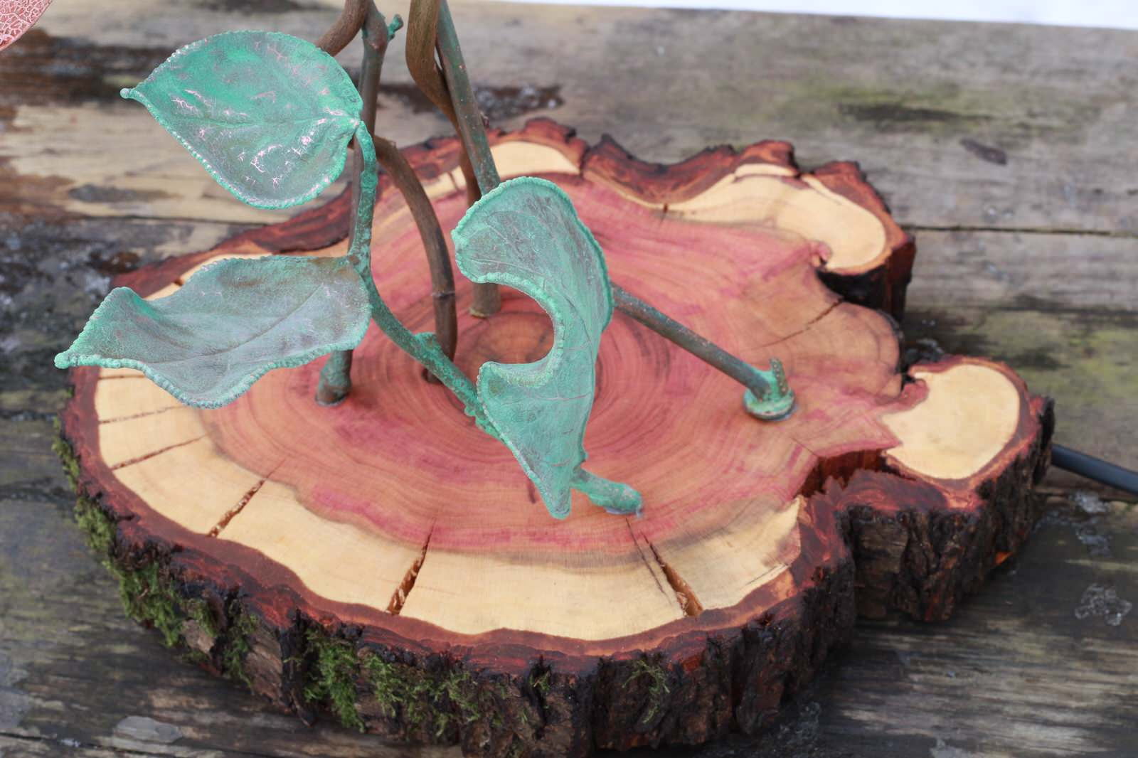 Освещение из живых цветов и растений от Натали Новак