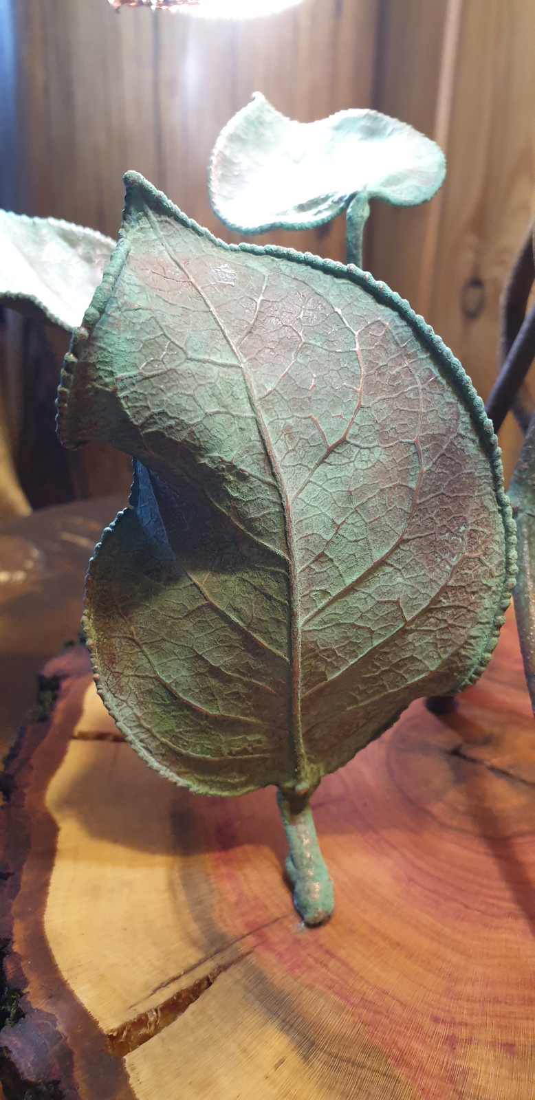 Освещение из живых цветов и растений от Натали Новак