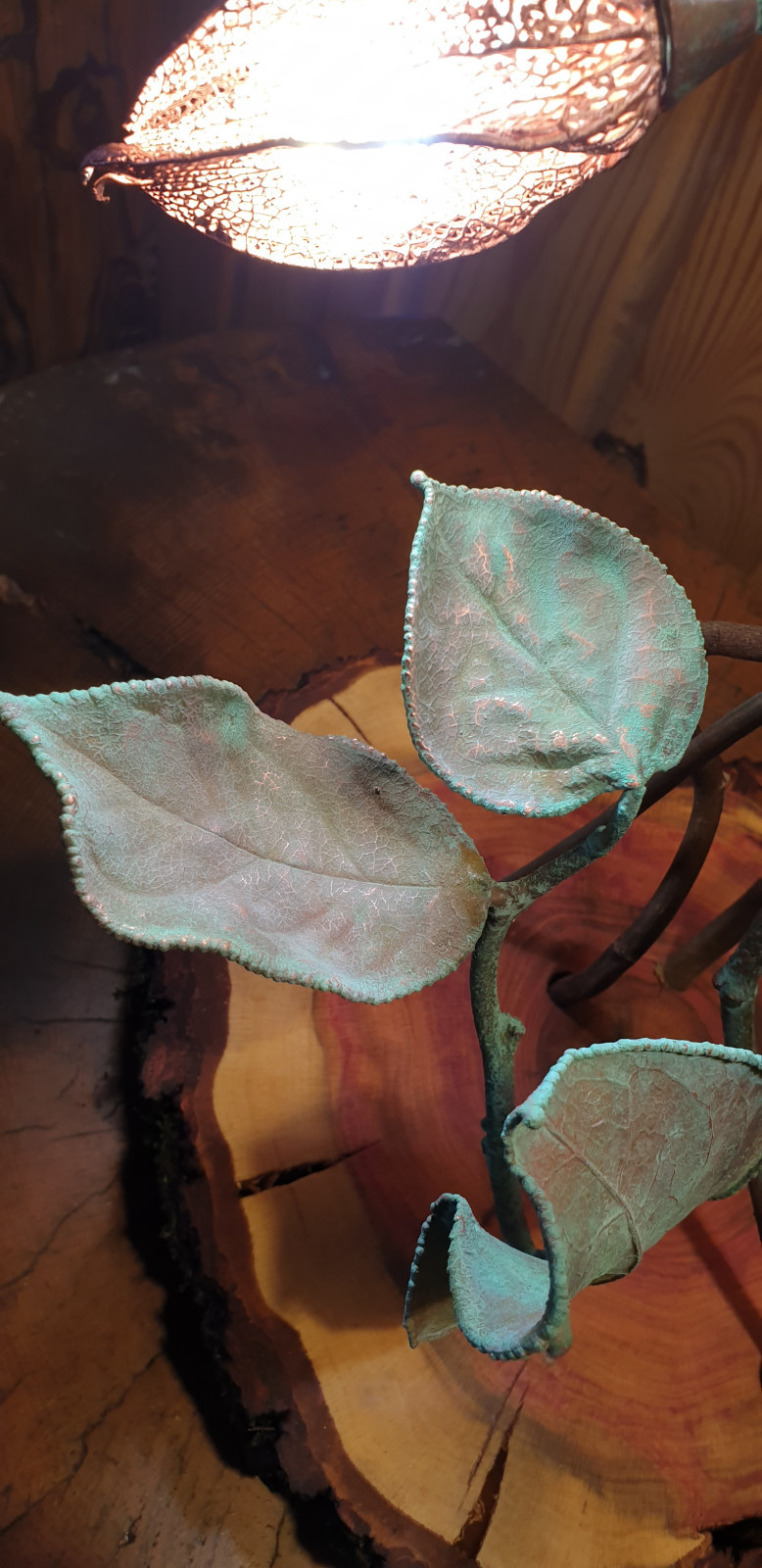 Освещение из живых цветов и растений от Натали Новак