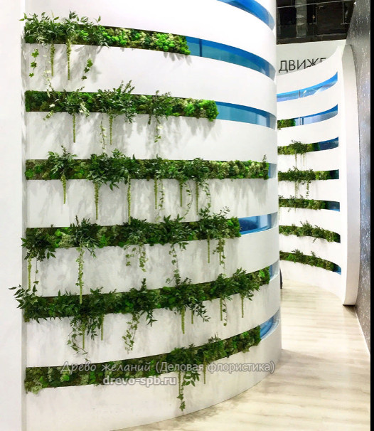 Фитостены,вертикальное озеленение