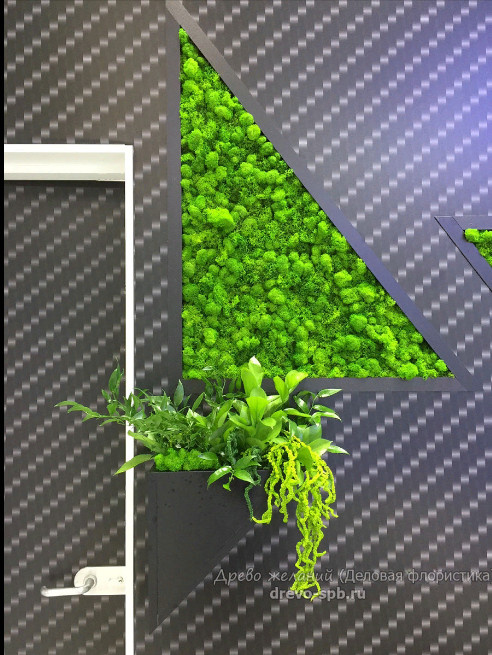 Фитостены,вертикальное озеленение