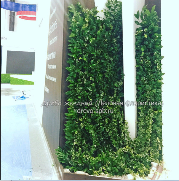 Фитостены,вертикальное озеленение