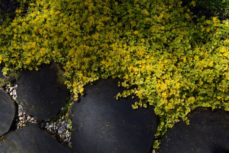 Городецкий район