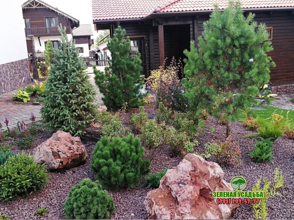 Ландшафтный дизайн и строительство на участке