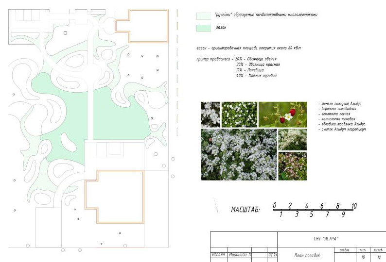 КОРНИ. Белый сад