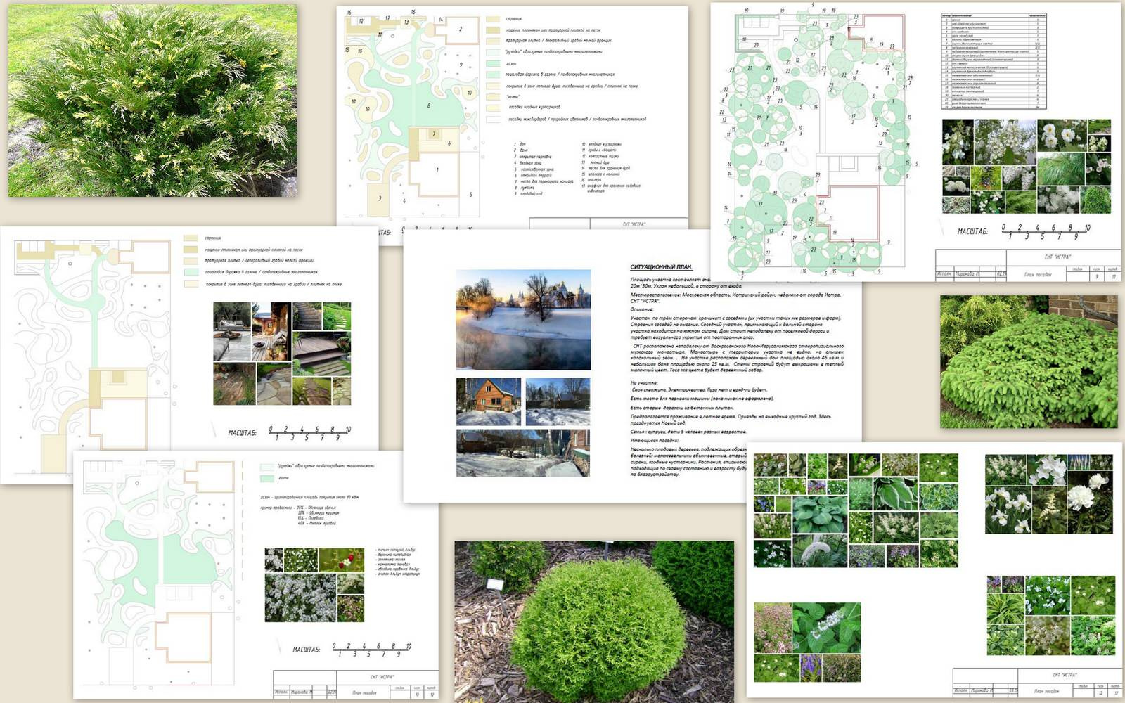 Обложка проекта: КОРНИ. Белый сад