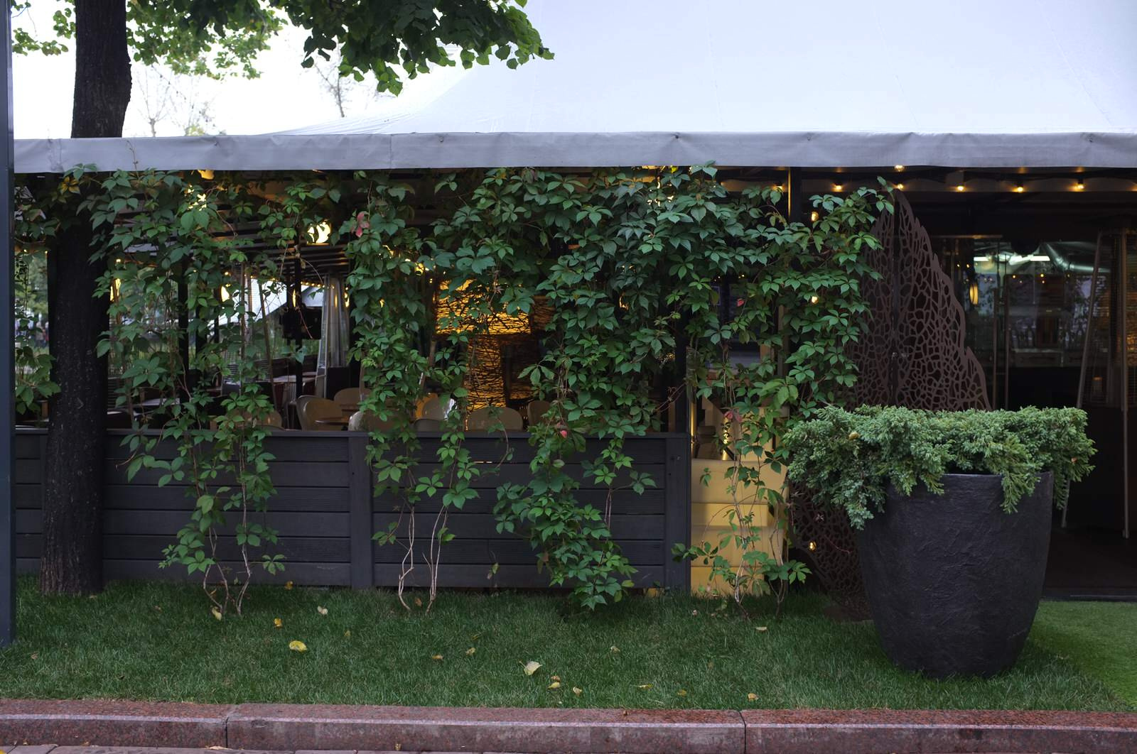 Озеленение ресторана