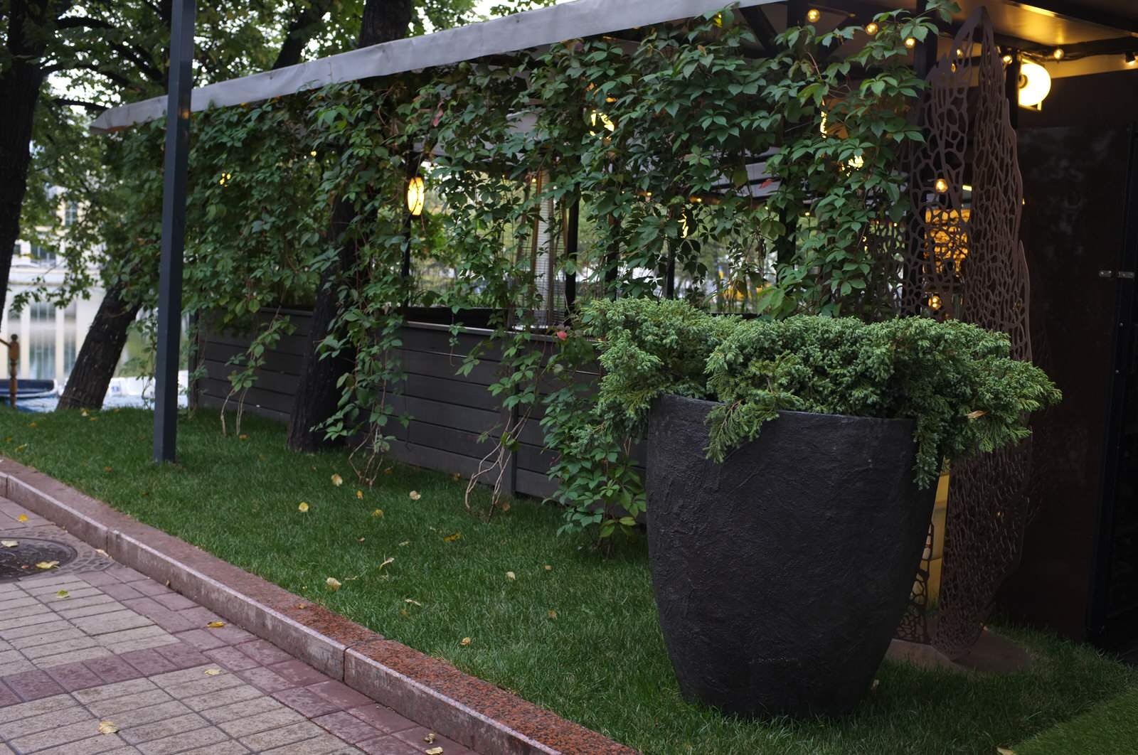 Озеленение ресторана