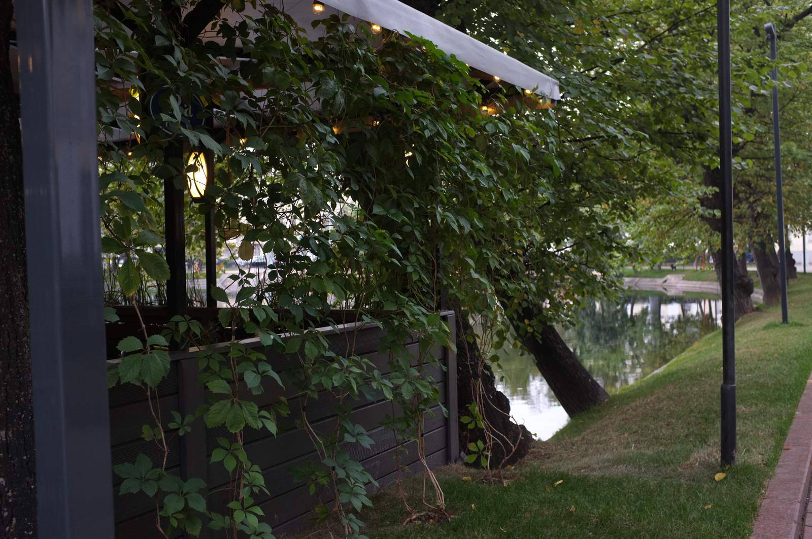 Озеленение ресторана