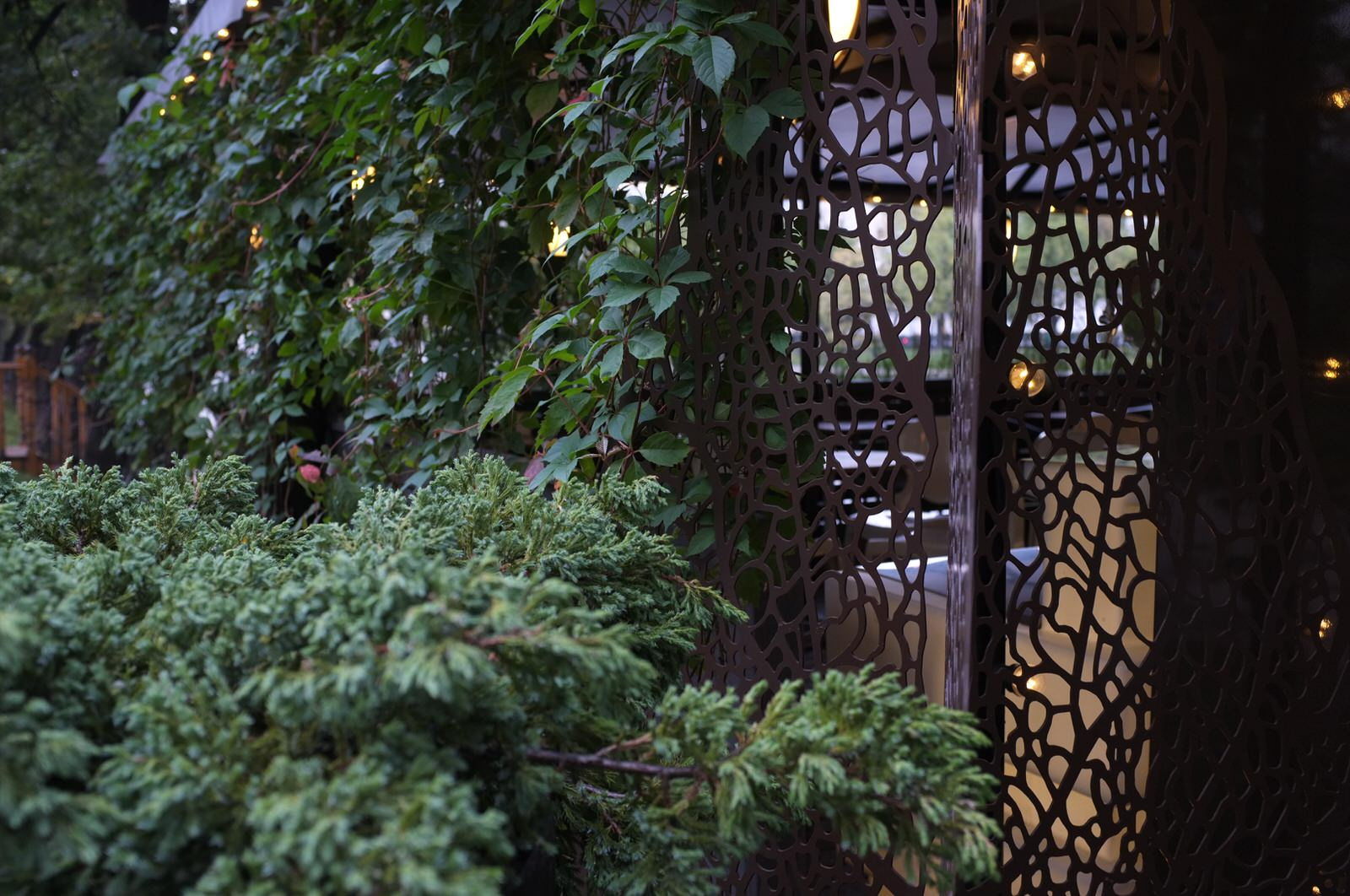 Озеленение ресторана