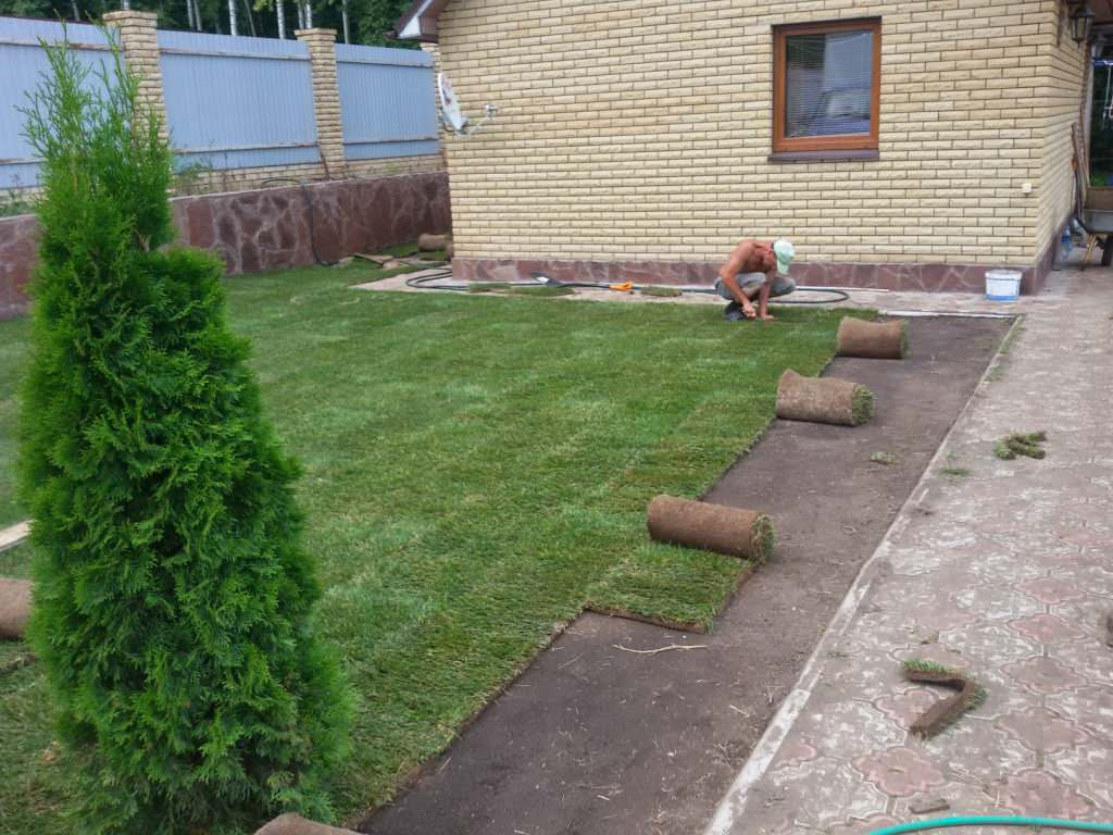 Рулонный газон