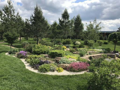 Рулонный газон