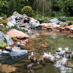 Рулонный газон