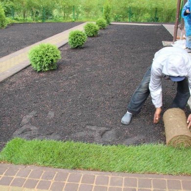 Рулонный газон