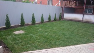 Обложка проекта: Рулонный газон