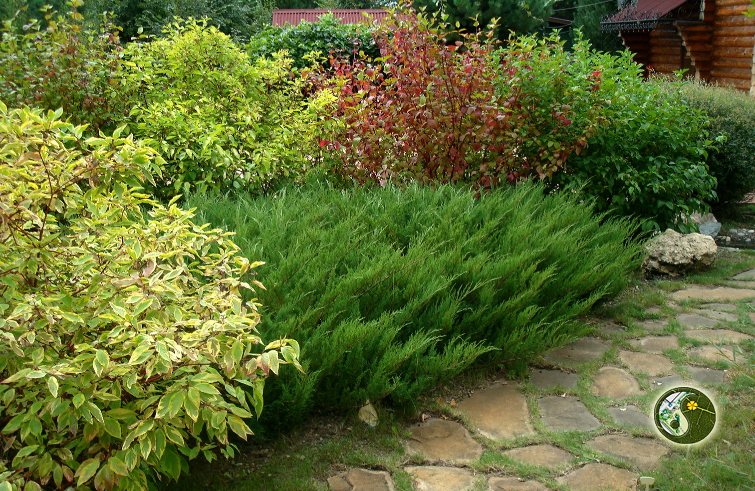 "Сад солнечного ветра"