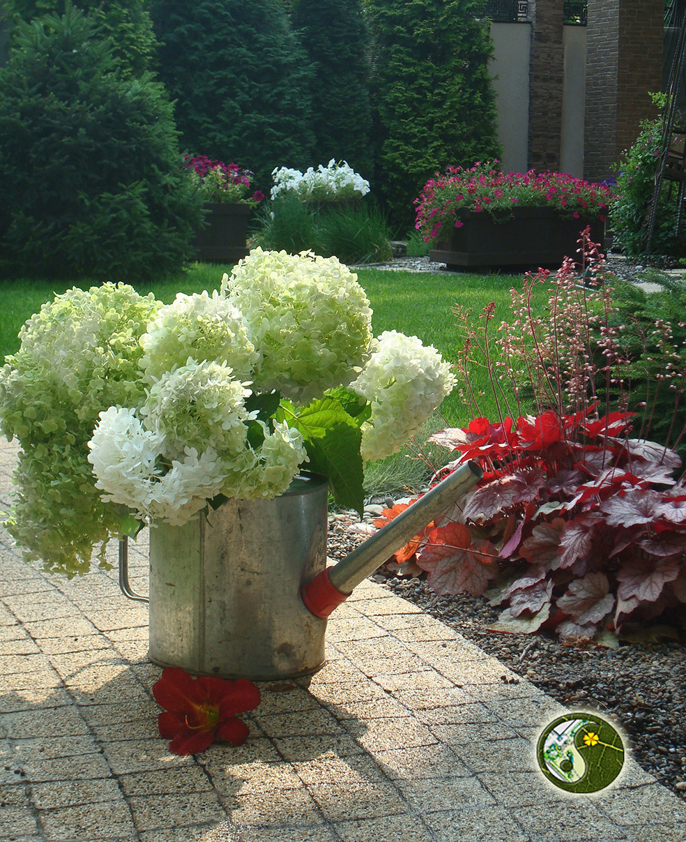 "Кленовый лист"