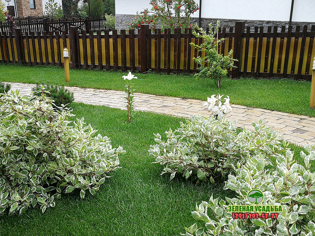 Геопластика в частном ландшафте