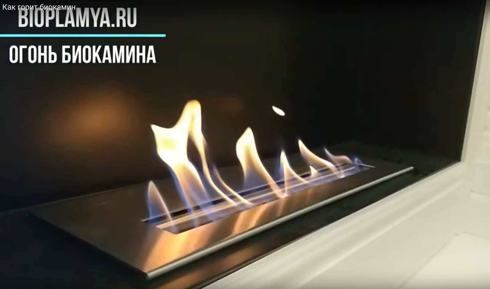 Биокамины для квартиры и дома