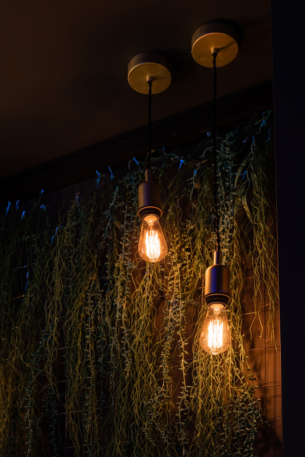 KOI IZAKAY - японский гастро-паб