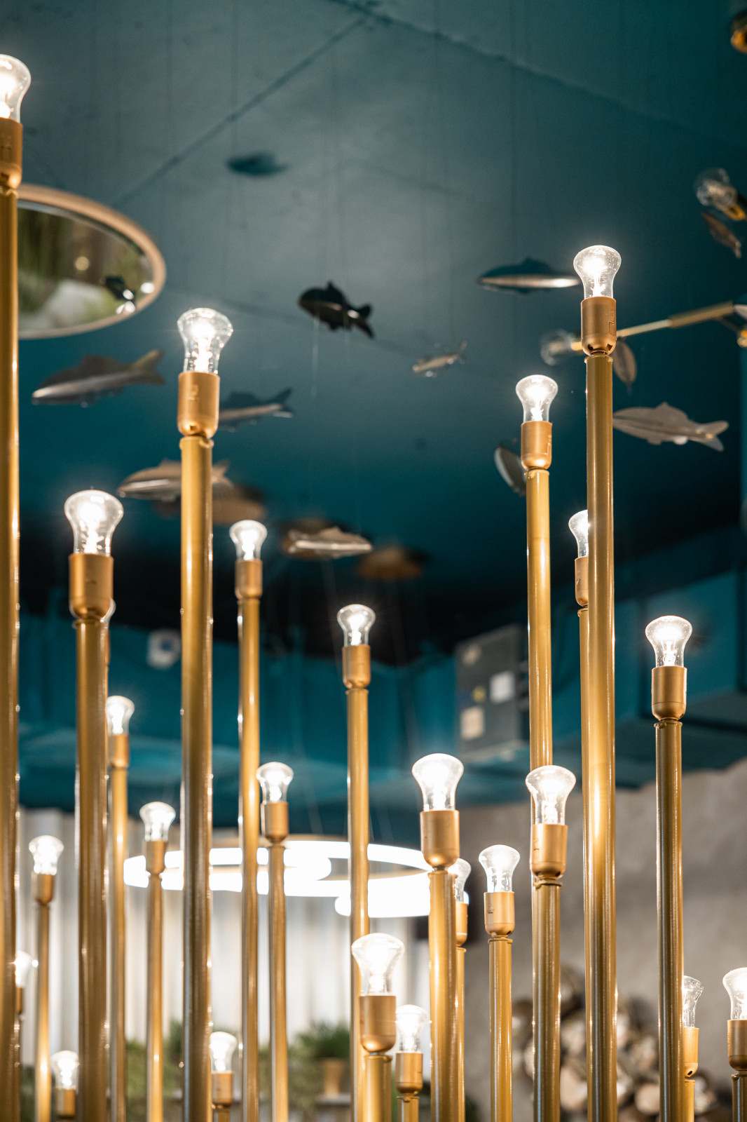 KOI IZAKAY - японский гастро-паб