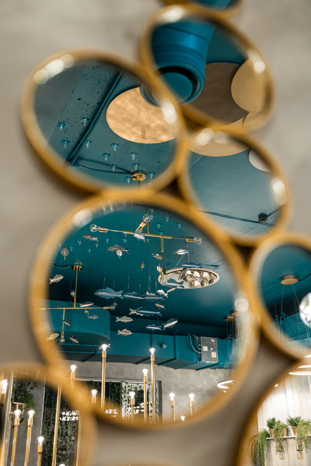 KOI IZAKAY - японский гастро-паб